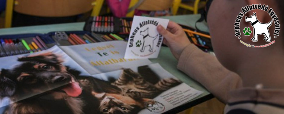 állatvédő egyesület cica, adó 1 százalék kutyus, cicus, állatmenhely, kutyák, adóbevalláskor adó 1 felajánlás